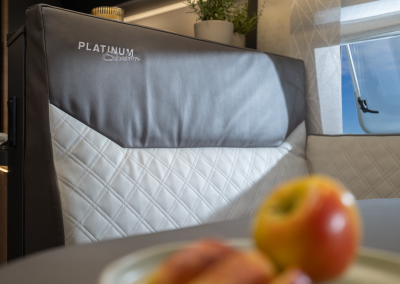 1100_T05_700-MEG_IN_5621_2025